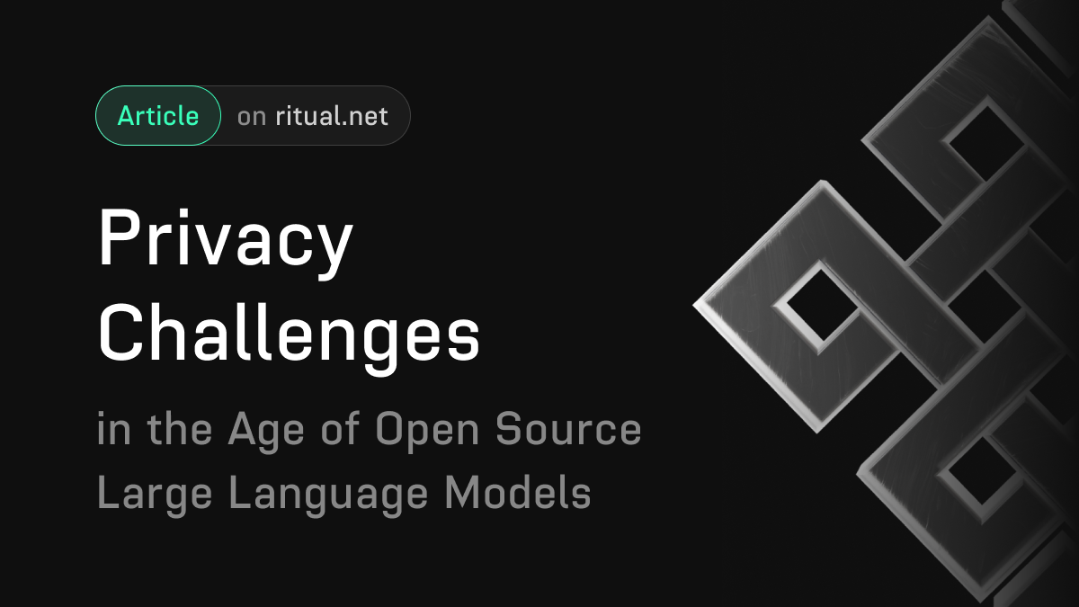 Privacy Challenges in the Age of Open Weights Large Language Models